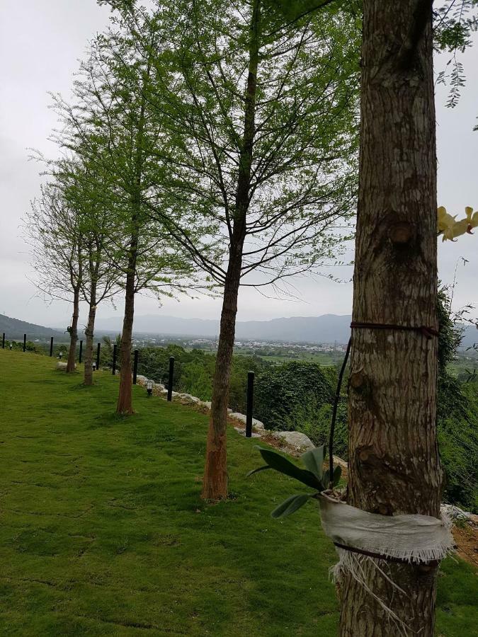 Sunrise Forest Fenglin Dış mekan fotoğraf